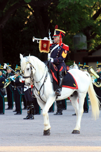 Día de Servivio de Bandas