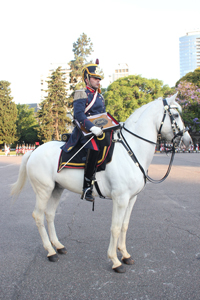 Día de Servivio de Bandas