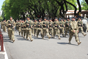 Inspeccion Guarnicion