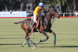 Torneo SPRINGBOK en el Campo Argentino de Polo