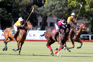Torneo SPRINGBOK en el Campo Argentino de Polo