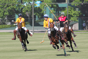 Torneo SPRINGBOK en el Campo Argentino de Polo