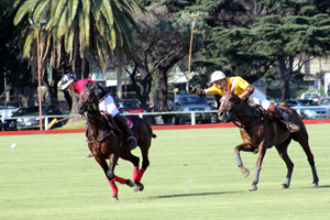 Torneo SPRINGBOK en el Campo Argentino de Polo
