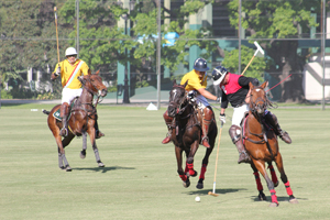 Torneo SPRINGBOK en el Campo Argentino de Polo
