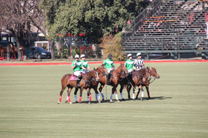 Campeonato de Polo