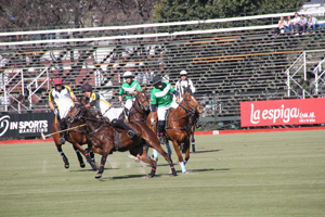 Campeonato de Polo