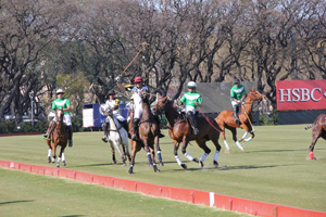 Campeonato de Polo