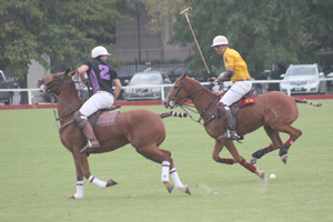 Trofeo Springbok 2015