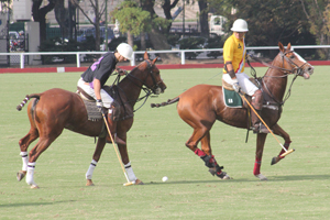 Trofeo Springbok 2015