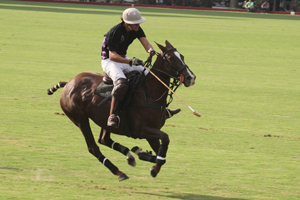 Trofeo Springbok 2015