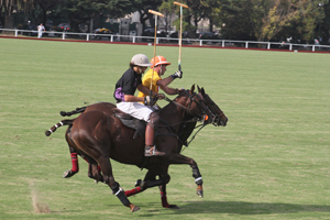 Trofeo Springbok 2015