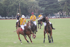 Trofeo Springbok 2015