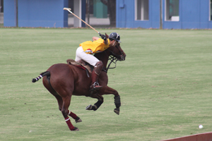 Trofeo Springbok 2015