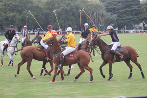Trofeo Springbok 2015