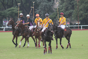 Trofeo Springbok 2015