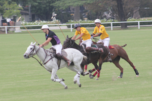 Trofeo Springbok 2015
