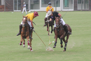 Trofeo Springbok 2015