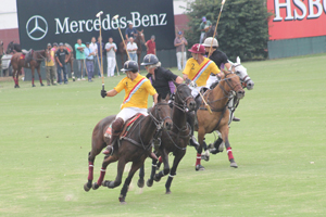 Trofeo Springbok 2015