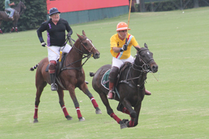 Trofeo Springbok 2015