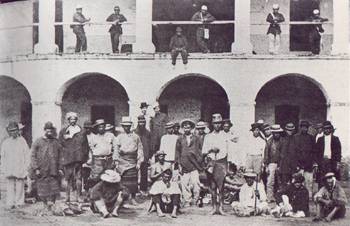 Pinturas Rupestres